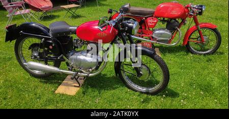 Dene Steam Fair and Transport Show, Seile-Hants, jeden juni Stockfoto