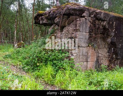 Der Atlantikwall Hankley Common Surrey England Canadian Royal E Stockfoto