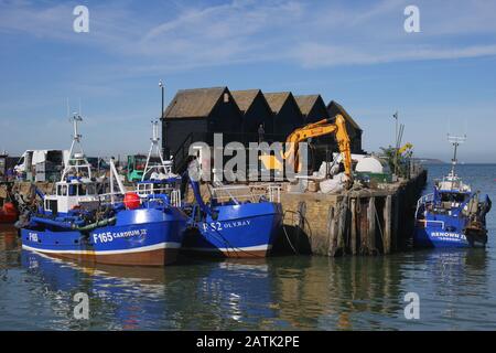 Fischerboote, Hafen Whitstable, Kent, England, Großbritannien Stockfoto