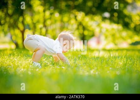 Portrait-Kinderjunge kriecht den ersten Schritt und versucht, sich im Sonnenlicht im Park aufzuhalten Stockfoto