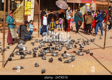 Katamandu, Nepal - 12. November 2016: Nepalesische Kinder füttern Tauben auf dem Boudhanath-Platz in Kathmandu. Bouddha Stupa. Stockfoto