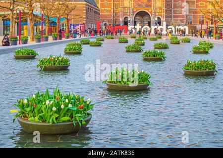 Amsterdam, Niederlande - 31. März 2016: Wasser und bunte Tulpenblumen, Rijksmuseum und Menschen vor dem Schreiben, I amsterdam, Museumplein, Holla Stockfoto