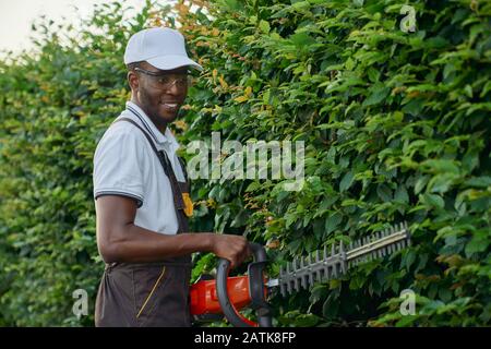 Gutaussehender afrikaner in Arbeitskleidung und Schutzbrille, der grüne Blätter mit Handscheren im Freien bepflauert. Fröhlicher junger Gärtner, der während des Arbeitstages Hecke schneidet. Stockfoto