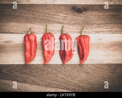 Dekoration von Chilipppern auf Woddenbrett. Vier Bhut jolokia auf Holzhintergrund Stockfoto