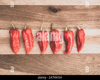 Dekoration von Chilipppern auf Woddenbrett. Sechs Bhut jolokia auf Holzhintergrund Stockfoto