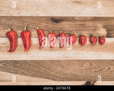 Dekoration von Chilipppern auf Woddenbrett. Neun Bhut jolokia auf Holzhintergrund, von klein auf groß Stockfoto