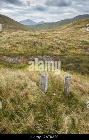 Überreste eines niedrigen Elektrozauns, Beinn Chaorach, Schottland Stockfoto