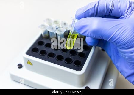 Grüne Substanz in Mikroröhre wird in Thermoschüttler gegeben. DNA-Experiment im biochemischen Labor Stockfoto