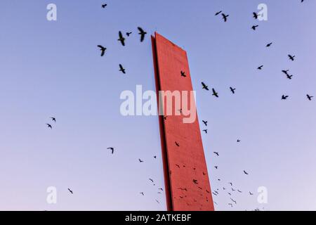 Der Leuchtturm von Commerce oder das Denkmal von Faro de Comercio wird von Herden wilder Papageien bei Sonnenuntergang auf dem Macroplaza Platz im Barrio Antiguo Viertel von Monterrey, Nuevo Leon, Mexiko, erwärmt. Das Denkmal der Moderne wurde vom mexikanischen Architekten Luis Barragan entworfen und zum Gedenken an den 106. Jahrestag der Handelskammer von Monterrey errichtet. Stockfoto