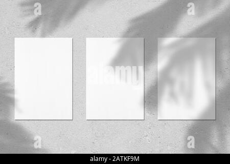 Drei leere weiße vertikale Rechteck-Poster oder Kartenmockups mit Palmen hinterlässt Schatten Stockfoto