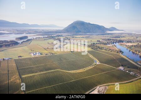 Luftaufnahme der Felder in Deroche, Mission, B.C. Stockfoto