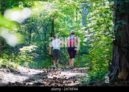 Mutter und Sohn gehen mit Kegel im Kiefernwald auf den Weg. Krim. Jutta. Untere Botkin-Leitung. Stockfoto