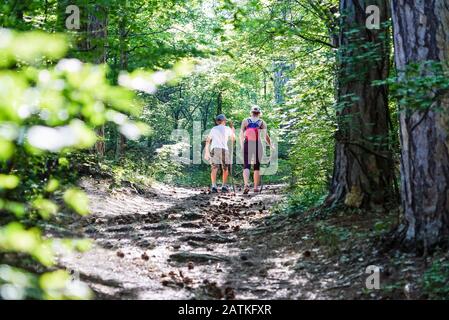 Mutter und Sohn gehen mit Kegel im Kiefernwald auf den Weg. Krim. Jutta. Untere Botkin-Leitung. Stockfoto