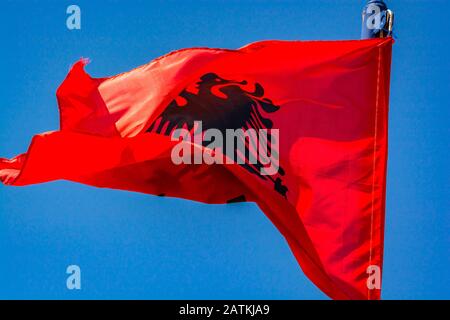 Rote albanische Flagge, die im Wind auf blauem Himmel fliegt Stockfoto