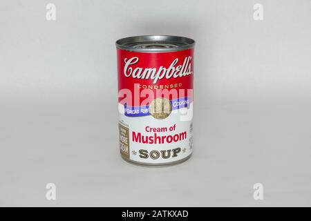 Orlando, FL/USA-2/3/20: Eine Dose Campbells Cream von Mushroom Soup. Stockfoto