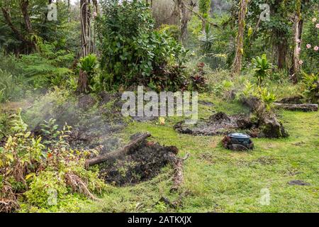 Leilani Estate, Hawaii, USA. - 14. Januar 2020: Verwüstung in Teilen, die von 2018 Lava unberührt sind. Giftige Gase und Dämpfe entweichen dem Boden des verlassenen ho Stockfoto