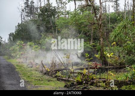 Leilani Estate, Hawaii, USA. - 14. Januar 2020: Verwüstung in Teilen, die von 2018 Lava unberührt sind. Giftige Gase und Dämpfe entweichen mit dem Boden von Florest Stockfoto