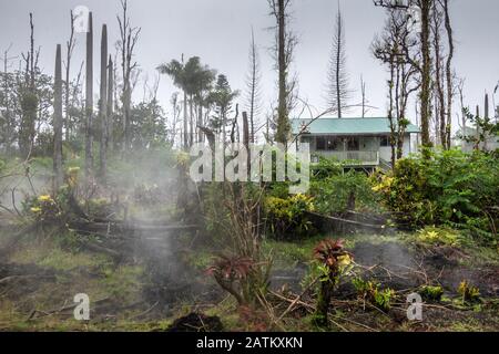 Leilani Estate, Hawaii, USA. - 14. Januar 2020: Verwüstung in Teilen, die von 2018 Lava unberührt sind. Giftige Gase und Dämpfe entweichen dem Boden von Wald und A. Stockfoto