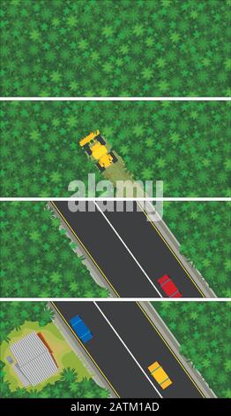 Das Diagramm in der Draufsicht zeigt in 4 Schritten, wie ein Wald entwaldet wird, um eine Straße zu bauen, und beginnt zu bevölkern. Vektorbild Stock Vektor