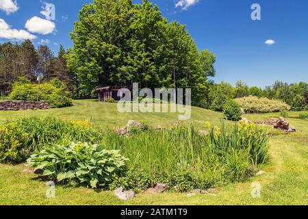 Hemerocallis - Taglilie und Hosta - Wegerich Lilie am Rand Von Teich mit gelben Iris pseudacorus 'Variegata' Blumen plus gesiebt Holzpavillon Stockfoto