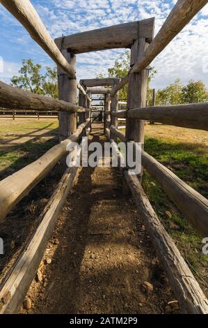 Ein Blick auf den leeren Shute auf ein altes Erbe, das Holzrinderhöfe im Golfland von Queensland verzeichnet. Stockfoto