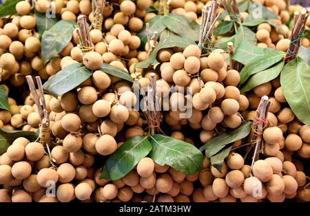 Thai Longan Fruit, Trauben frisch geernteter roher tropischer Thai Longan Früchte auf einem Bauernmarkt in Bangkok, Thailand Stockfoto