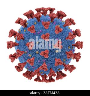 Coronavirus, eine Gruppe von Viren, die bei Säugetieren und Vögeln Krankheiten verursachen. Beim Menschen verursacht das Virus Atemwegsinfektionen. 3D-Illustration, konzeptua Stockfoto