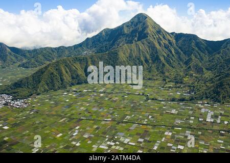 Blick von oben, atemberaubender Luftblick auf einige landwirtschaftliche Felder in Sembalun. Stockfoto