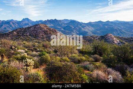 Blick auf die Berge und die Wüstenvegetation rund um den Bartlett Lake, Tonto National Forest, Arizona. Stockfoto