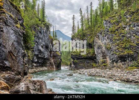 Schnelle und Schluchtschlucht des sibirischen Bergrivulets. Bewölkt im august. East Sayan. Russland Stockfoto