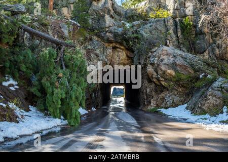 Doane Robinson Tunnel im Black Hills National Forest, South Dakota Stockfoto