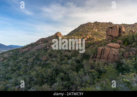 Blick auf riesige Felsbrocken und Eukalyptuswald. Freycinet National Park, Tasmanien in Australien Stockfoto