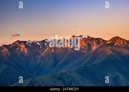 Mount Carrie (Mitte), Mount Olympus (links), Blick Mitte September von Hurricane Hill auf Hurricane Ridge, Olympic National Park, Washington State USA Stockfoto