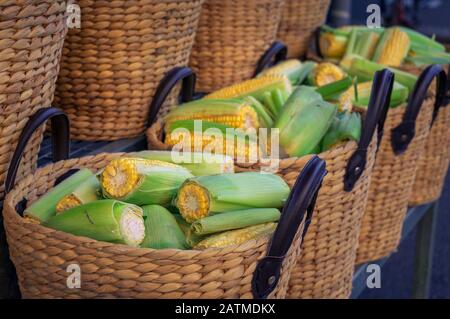 Kochfelder mit süßem Mais, Maiskolben in Webkörben zum Verkauf auf dem Bauernmarkt. Ladendisplays für frische organische Produkte Stockfoto