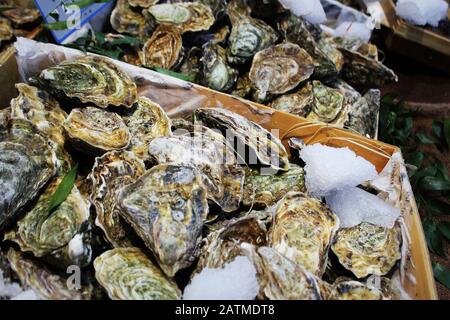 Frische Austern auf Eis zum Verkauf auf einem Fischmarkt. Stockfoto