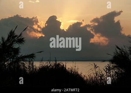 Albufera De Valencia Nature Preserve in El Palmar, Valencia, Spanien. Süßwasserlagune. Lagune bei Sonnenuntergang Stockfoto