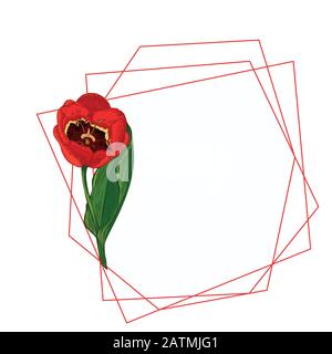 Blumenstrauß im Frühling. Rote Tulpen isoliert auf weißem Hintergrund Realistische botanische Skizze. Trend-Frame und -Position für Text. Vektor-Stil mit Aquarell Stock Vektor