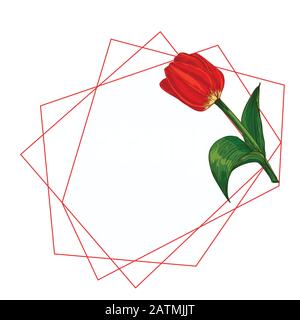 Blumenstrauß im Frühling. Rote Tulpen isoliert auf weißem Hintergrund Realistische botanische Skizze. Trend-Frame und -Position für Text. Vektor-Stil mit Aquarell Stock Vektor