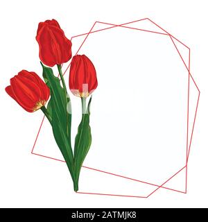 Blumenstrauß im Frühling. Rote Tulpen isoliert auf weißem Hintergrund Realistische botanische Skizze. Trend-Frame und -Position für Text. Vektor-Stil mit Aquarell Stock Vektor
