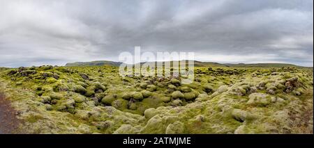 Panorama-Blick auf den Teppich von Moos, Moschus und Flechten über die Lavafelder. Island schöne Landschaft. Stockfoto