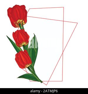 Blumenstrauß im Frühling. Rote Tulpen isoliert auf weißem Hintergrund Realistische botanische Skizze. Trend-Frame und -Position für Text. Vektor-Stil mit Aquarell Stock Vektor
