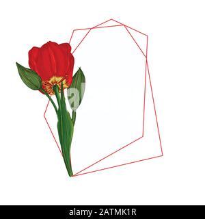 Blumenstrauß im Frühling. Rote Tulpen isoliert auf weißem Hintergrund Realistische botanische Skizze. Trend-Frame und -Position für Text. Vektor-Stil mit Aquarell Stock Vektor
