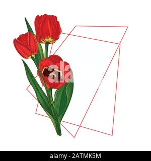Blumenstrauß im Frühling. Rote Tulpen isoliert auf weißem Hintergrund Realistische botanische Skizze. Trend-Frame und -Position für Text. Vektor-Stil mit Aquarell Stock Vektor