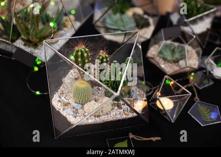 Florarium-Zusammensetzung aus Kakteen und Sukkulenten, Stein und Sand, Element des Innenraums, Hausdekor, gläsernes Terrarium. Kleiner Garten mit Hausinnenanlage Stockfoto