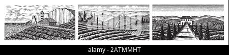 Weinberge. Felder und Hügel der Toskana. Panoramaaussicht. Breite Panorama-Weinplantage in Chianti. Französisch oder Italienisch gravierte Landschaft. Hand Stock Vektor