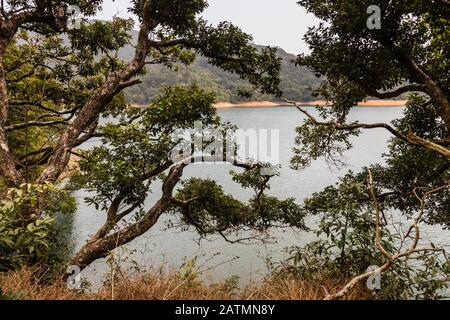 Upper Shing Mun Reservoir, Hongkong Stockfoto