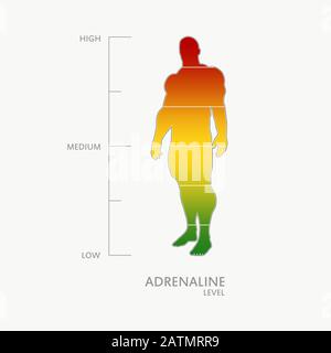 Hormon Adrenalinspiegel Messskala. Abbildung des Konzepts des Gesundheitswesens. Muskulöse Mann-Silhouette. Von der roten bis zur grünen Skala. Stock Vektor
