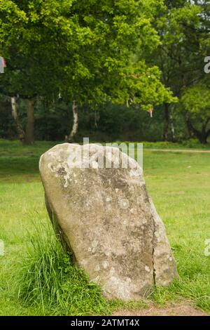 Derbyshire, Großbritannien, 03. Juni 2016: in der Nähe auf einem sarazenen oder Standing Stone von neun Damen Steinkreis, der Bronzezeit Denkmal auf Stanton Moor Stockfoto