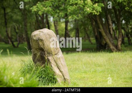 Derbyshire, Großbritannien, 03. Juni 2016: in der Nähe auf einem sarcen oder Standing Stone von neun Damen Steinkreis, der Bronzezeit Denkmal auf Stanton Moor Stockfoto