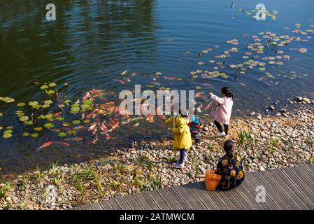 Der ältere Mann mit seinem Kind füttert am Nachmittag Karpfen am Teich im Park Stockfoto